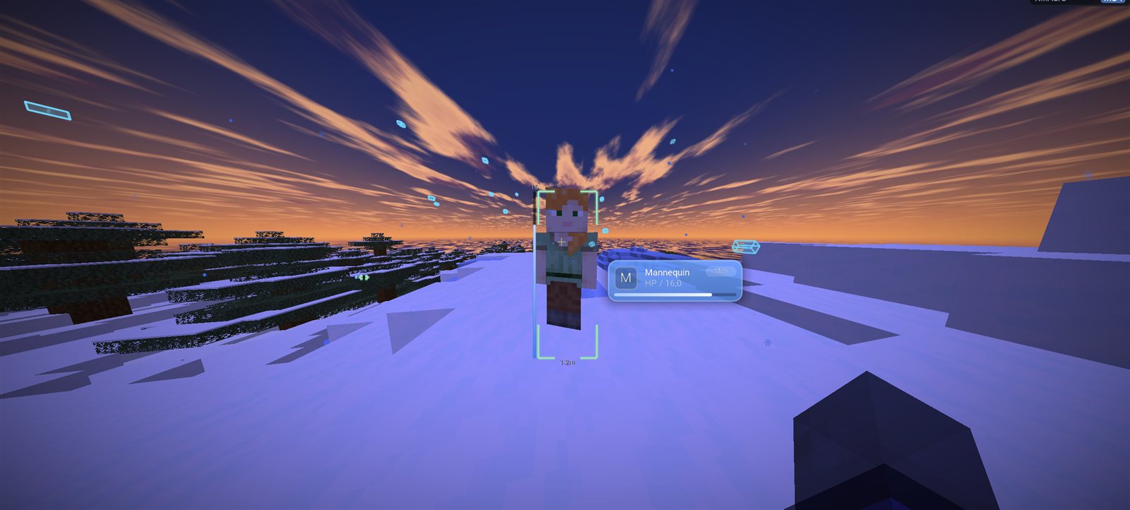 Corner ESP and Target HUD on a mannequin at sunset